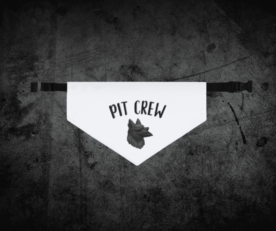Pit Crew Pet bandana collar