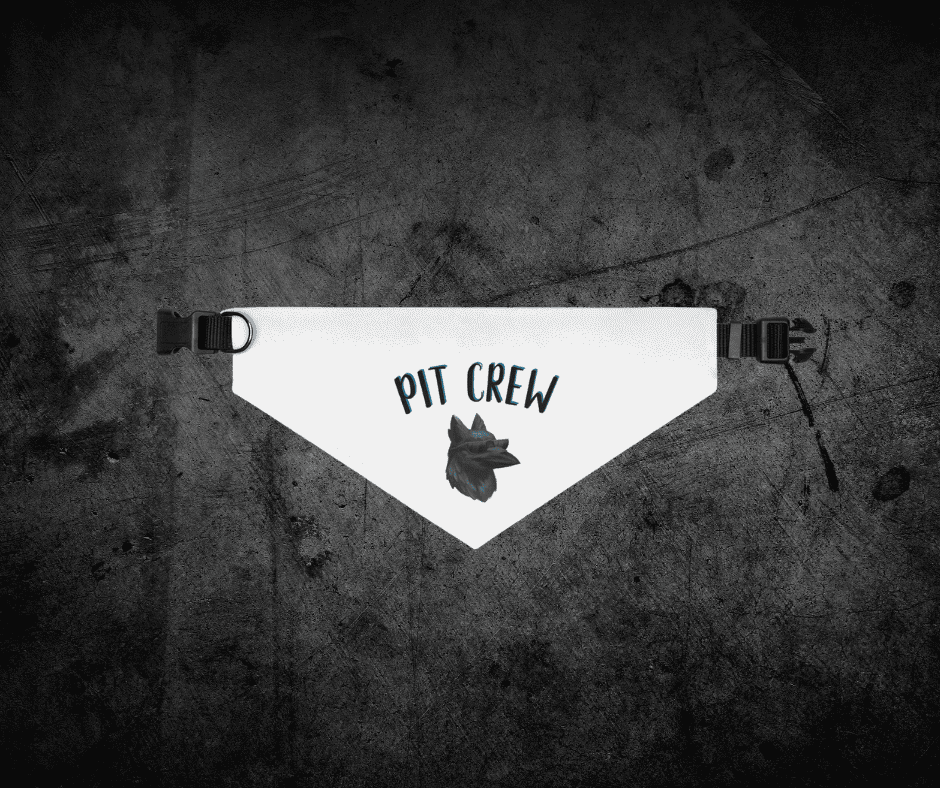 Pit Crew Pet bandana collar