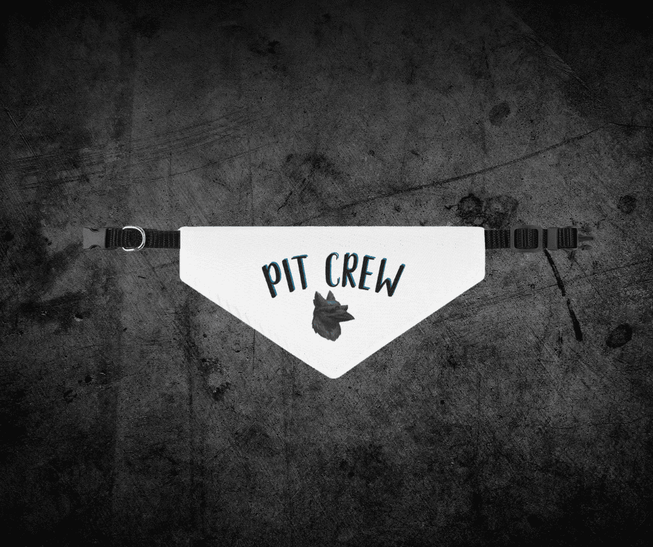 Pit Crew Pet bandana collar