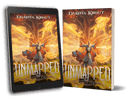 Preorder - Unmapped | Completionist Chronicles Book 13